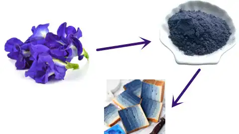 What Is Blue Butterfly Pea Flower Powder and How Does It Work in Food Coloring?